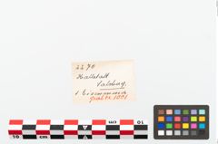 Etikett zu Eisengriffangelmesser (NHMW-PRAE-002270)